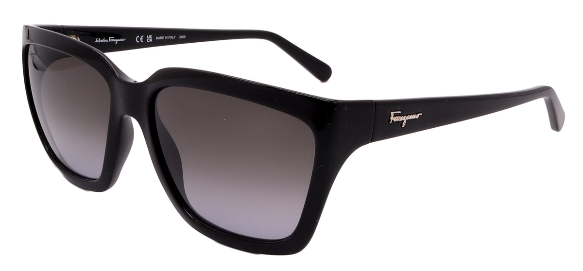 Salvatore Ferragamo Sunglasses SF1018S-001-59-17-140 Non-Polarized