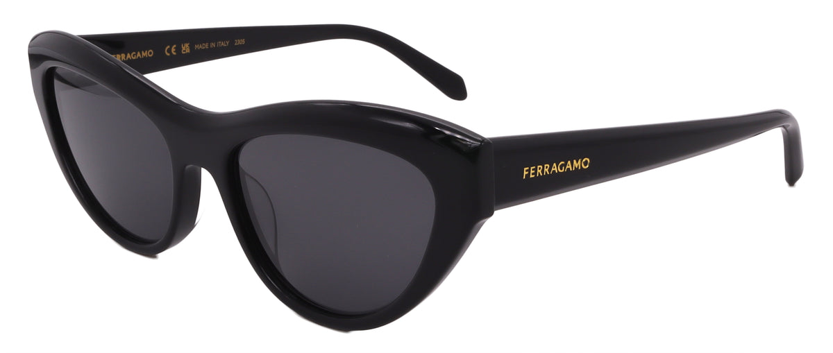 Salvatore Ferragamo Sunglasses SF1103S-001-55-17-140 Non-Polarized