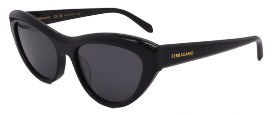 Salvatore Ferragamo Sunglasses SF1103S-001-55-17-140 Non-Polarized