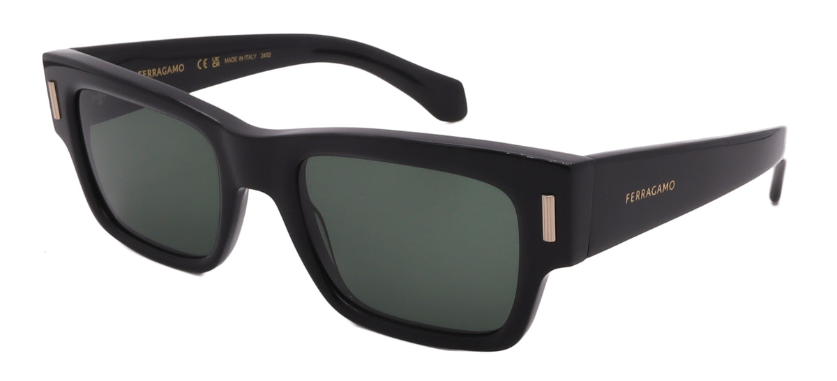 Salvatore Ferragamo Sunglasses SF2011S-001-53-21-140 Non-Polarized