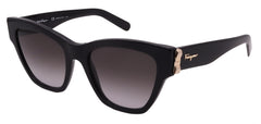 Salvatore Ferragamo Sunglasses SF1010S-001-53-19-140 Non-Polarized