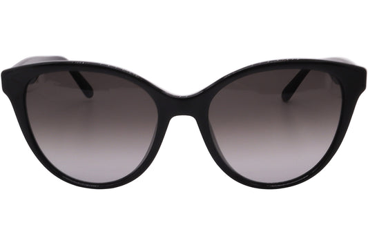 Ferragamo Sunglasses SF1073S-001-54-17-140 Non-Polarized
