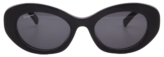 Ferragamo Sunglasses SF1080S-022-53-21-140 Non-Polarized