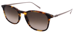 Salvatore Ferragamo Sunglasses SF2846SCP-219-53-20-145 Non-Polarized