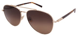 Salvatore Ferragamo Sunglasses SF316S-745-61-16-145 Non-Polarized