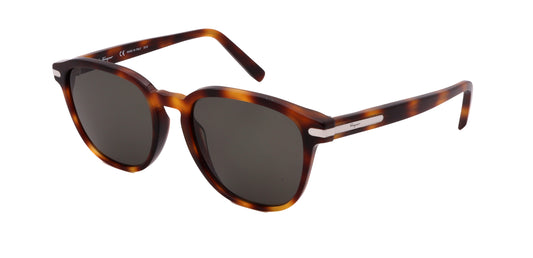 Salvatore Ferragamo Sunglasses SF993S-214-53-19-150 Non-Polarized