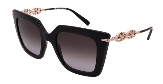 Salvatore Ferragamo Sunglasses SF1041S-001-51-22-145 Non-Polarized