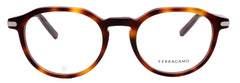 Salvatore Ferragamo OPTICAL SF2955N-240-51-20-145 NON-POLARIZED