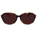 Coach Sunglasses HC8332D-512013-56-17-145 Non-Polarized