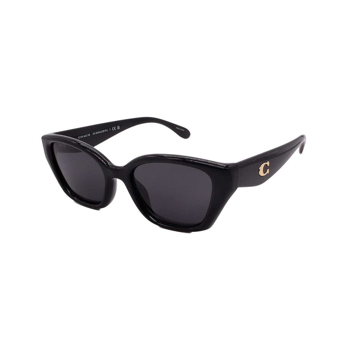 Coach Sunglasses HC8434U-500287-53-19-140 Non-Polarized
