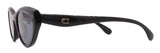 Coach Sunglasses HC8456D-500281-55-18-145 Polarized