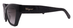 Salvatore Ferragamo Sunglasses SF1043S-001-54-18-145 Non-Polarized
