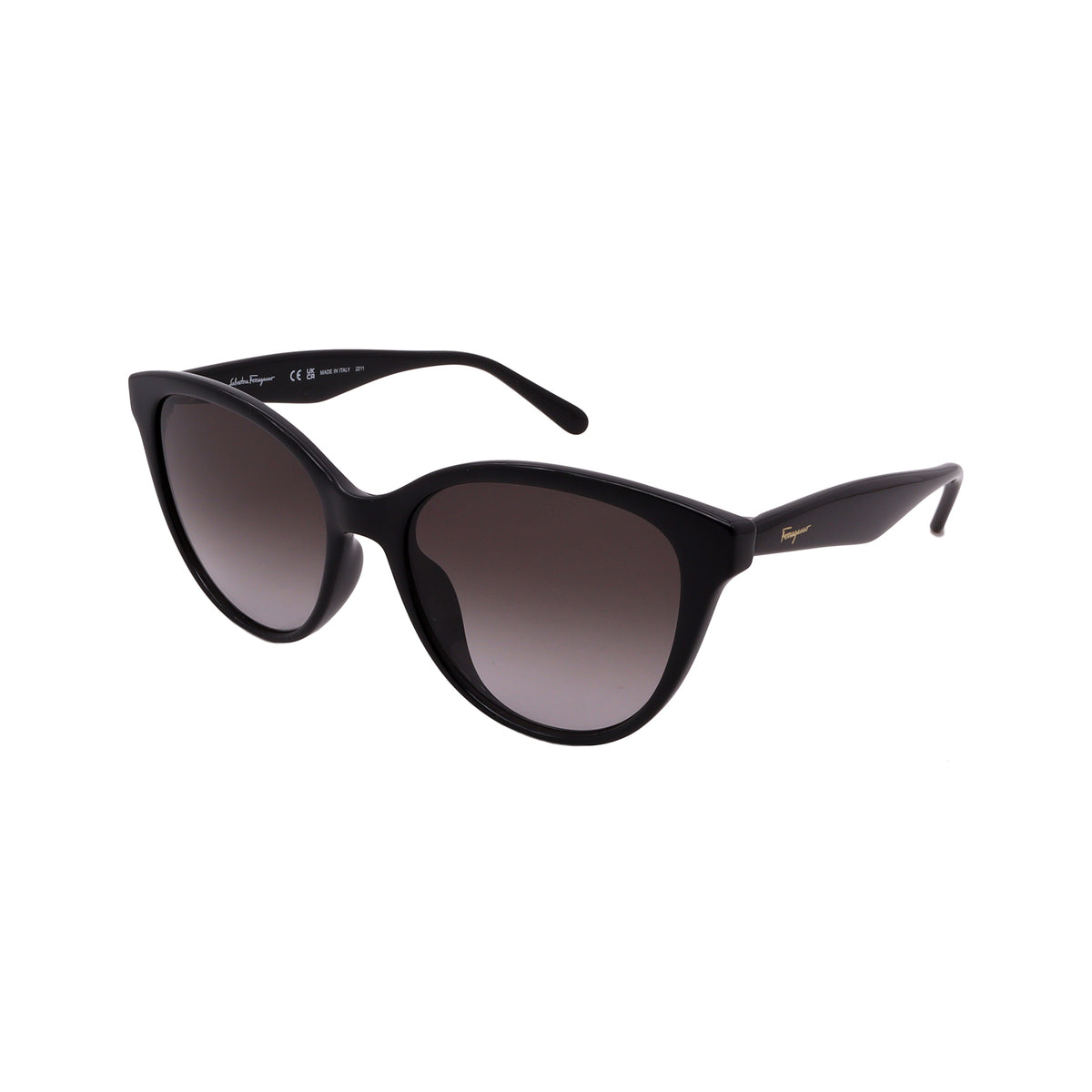 FERRAGAMO Sunglasses SF1073S-001-54-17-140 Non-Polarized