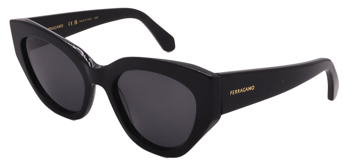 Salvatore Ferragamo Sunglasses SF1107S-001-55-20-140 Non-Polarized