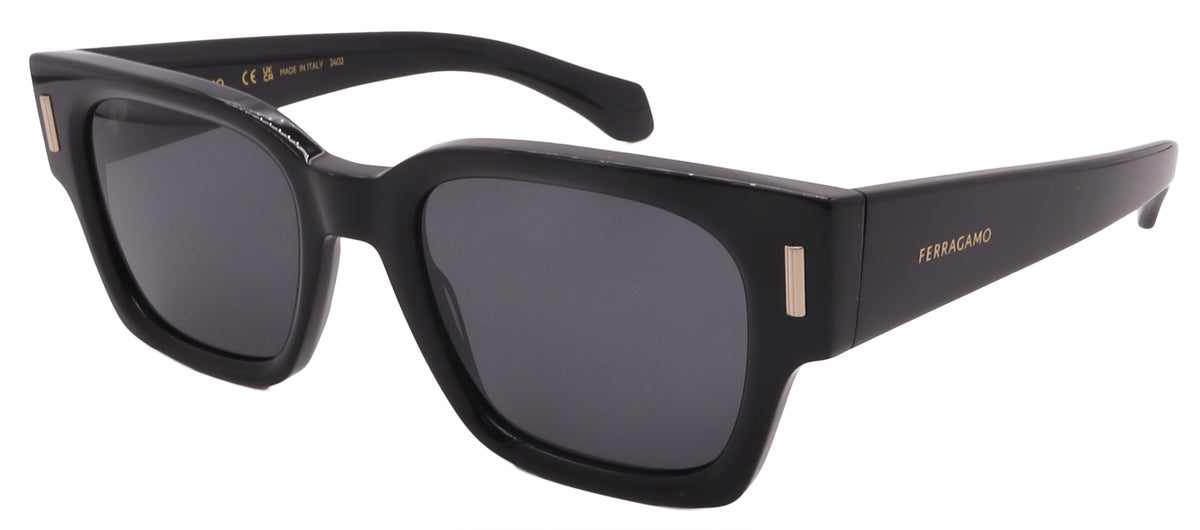 Salvatore Ferragamo Sunglasses SF2010S-001-52-21-145 Non-Polarized