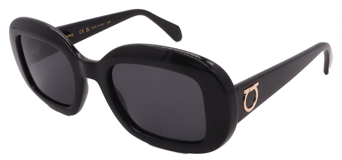 Salvatore Ferragamo Sunglasses SF2038SE-001-51-22-140 Non-Polarized