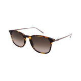 Salvatore Ferragamo Sunglasses SF2846SCP-219-53-20-145 Non-Polarized