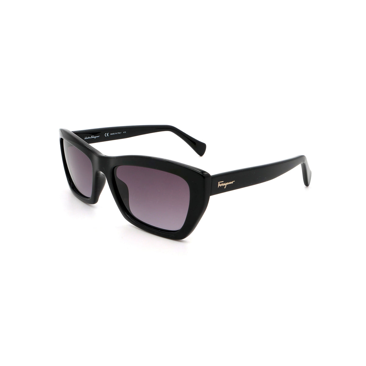 FERRAGAMO Sunglasses SF958S-001-55-19-135 Non-Polarized
