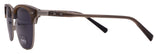 Shinola Sunglasses SH2300S-259-52-19-145 Non-Polarized